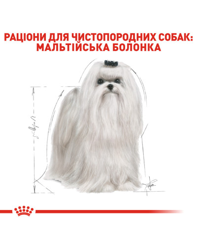 Корм для дорослих собак ROYAL CANIN MALTESE ADULT 1.5 кг