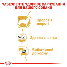 Корм для взрослых собак породы Вест-Хайленд-Уайт-терьер ROYAL CANIN WESTIE ADULT 3 кг