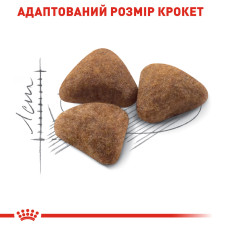 Корм для домашніх котів ROYAL CANIN INDOOR 400 г