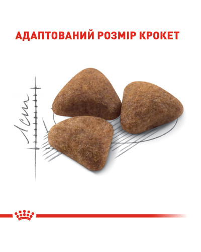 Корм для домашних кошек ROYAL CANIN INDOOR 10 кг
