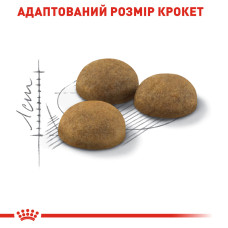 Корм для домашніх довгошерстих котів ROYAL CANIN INDOOR LONGHAIR 2 кг