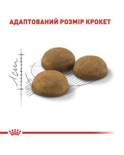 Корм для домашніх довгошерстих котів ROYAL CANIN INDOOR LONGHAIR 2 кг