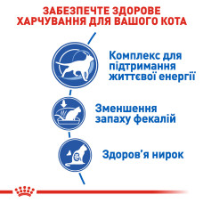Корм для домашніх котів ROYAL CANIN INDOOR 7+(від 7 років) 3.5 кг