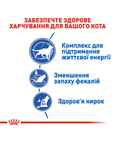 Корм для домашних кошек ROYAL CANIN INDOOR 7+(от 7 лет) 3.5 кг
