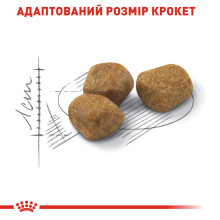 Корм для домашніх котів ROYAL CANIN INDOOR 7+(від 7 років) 3.5 кг