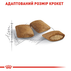 Корм для зрілих домашніх котів ROYAL CANIN AGEING 12+ (від 12 років) 2 кг