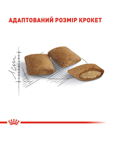Корм для зрелых домашних кошек ROYAL CANIN AGEING 12+(от 12 лет) 2 кг