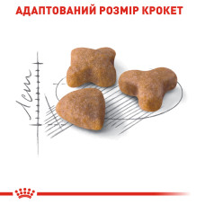 Корм для дорослих котів з чутливою травною системою ROYAL CANIN SENSIBLE 2 кг