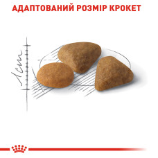 Корм для котів ROYAL CANIN EXIGENT SAVOUR 400 г, вибагливих до смакових якостей корму