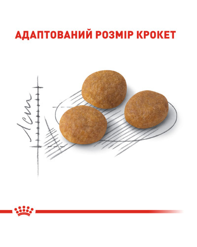 Корм для котів ROYAL CANIN EXIGENT AROMA 2 кг, вибагливих до аромату корму