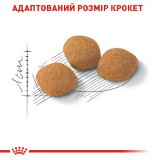 Корм для котів ROYAL CANIN EXIGENT PROTEIN 2 кг, вибагливих до поживності раціону