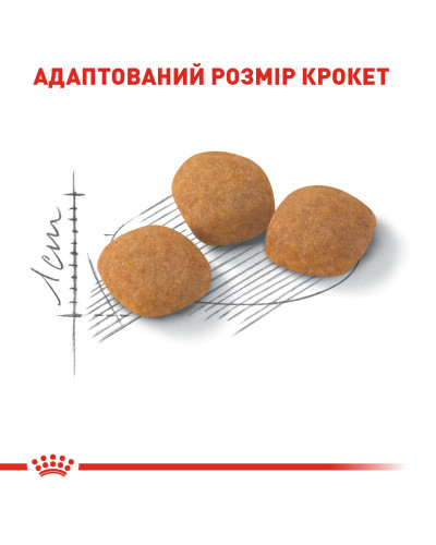 Корм для кошек ROYAL CANIN EXIGENT PROTEIN 2 кг, привередливых к питательности рациона.