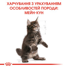 Корм для котят ROYAL CANIN MAINECOON KITTEN 2 кг