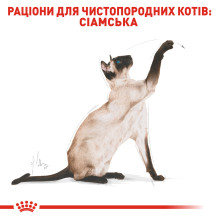 Корм для дорослих котів породи Сіамська ROYAL CANIN SIAMESE ADULT 400 г