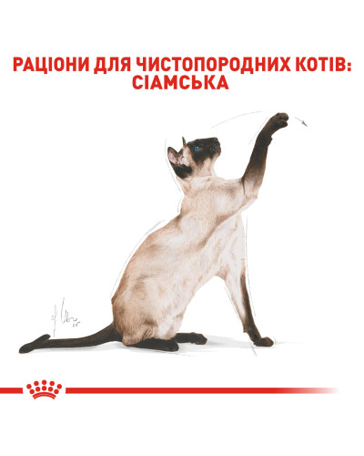 Корм для взрослых кошек породы Сиамская ROYAL CANIN SIAMESE ADULT  400 г