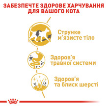 Корм для дорослих котів породи Сіамська ROYAL CANIN SIAMESE ADULT 400 г