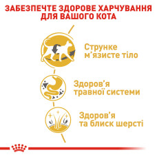 Корм для дорослих котів породи Сіамська ROYAL CANIN SIAMESE ADULT 400 г