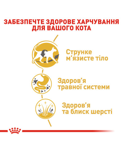 Корм для взрослых кошек породы Сиамская ROYAL CANIN SIAMESE ADULT  400 г