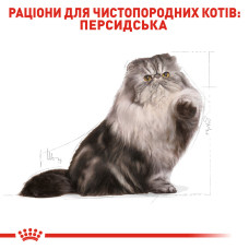 Корм для дорослих котів породи Персидська ROYAL CANIN PERSIAN ADULT 2 кг