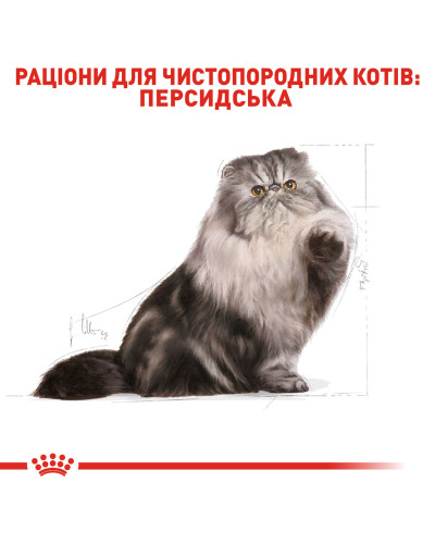 Корм для взрослых кошек породы Персидская ROYAL CANIN PERSIAN ADULT 2 кг