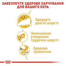 Корм для дорослих котів породи Персидська ROYAL CANIN PERSIAN ADULT 2 кг
