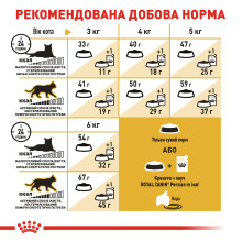 Корм для дорослих котів породи Персидська ROYAL CANIN PERSIAN ADULT 2 кг