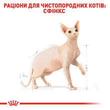 Корм для дорослих котів ROYAL CANIN SPHYNX ADULT 2 кг