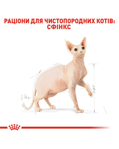 Корм для дорослих котів ROYAL CANIN SPHYNX ADULT 2 кг