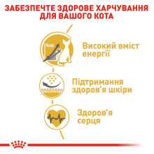 Корм для дорослих котів ROYAL CANIN SPHYNX ADULT 2 кг