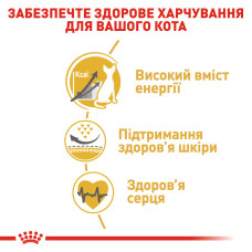 Корм для дорослих котів ROYAL CANIN SPHYNX ADULT 400 г