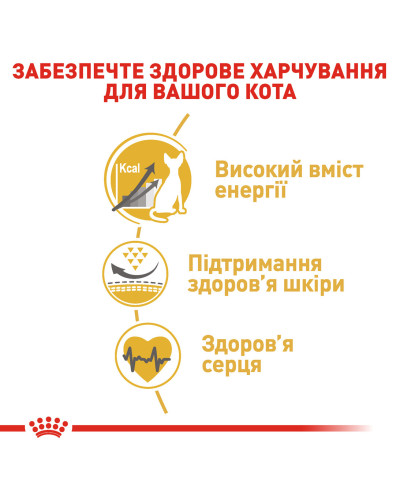 Корм для дорослих котів ROYAL CANIN SPHYNX ADULT 2 кг