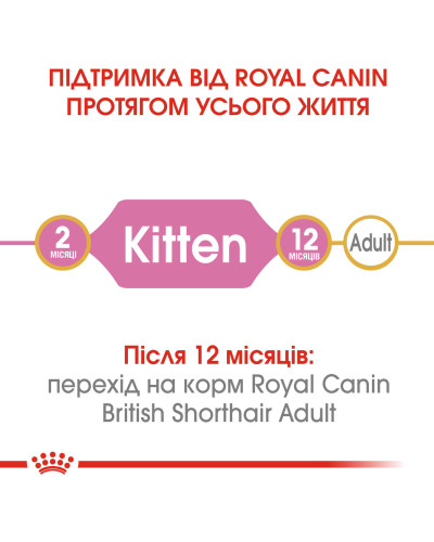 Корм для кошенят ROYAL CANIN KITTEN BRITISH SHORTHAIR 2 кг