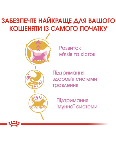 Корм для кошенят ROYAL CANIN KITTEN BRITISH SHORTHAIR 2 кг