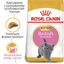Корм для кошенят ROYAL CANIN KITTEN BRITISH SHORTHAIR 2 кг