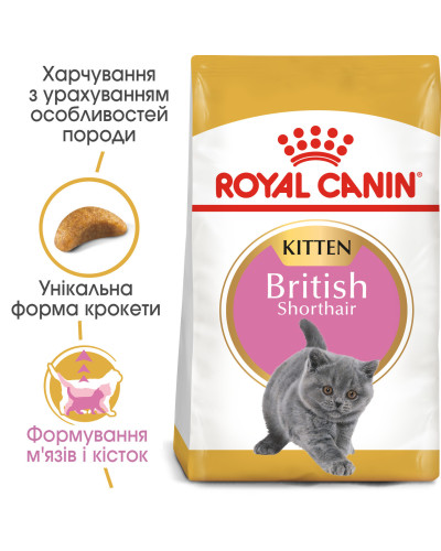 Корм для кошенят ROYAL CANIN KITTEN BRITISH SHORTHAIR 2 кг