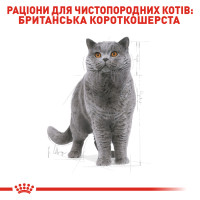 Корм для дорослих котів ROYAL CANIN BRITISH SHORTHAIR ADULT 10 кг
