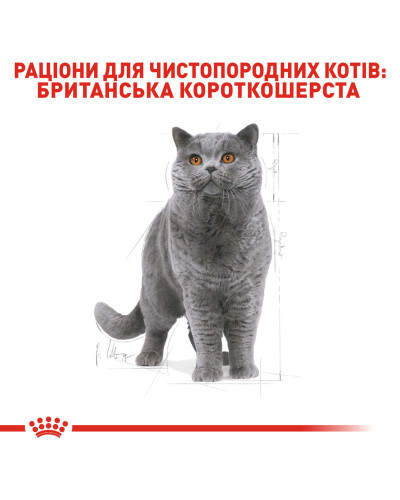 Корм для дорослих котів породи Британська короткошерста ROYAL CANIN BRITISH SHORTHAIR ADULT 400 г