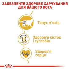 Корм для дорослих котів ROYAL CANIN BRITISH SHORTHAIR ADULT 10 кг