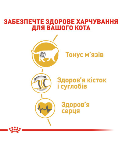 Корм для дорослих котів породи Британська короткошерста ROYAL CANIN BRITISH SHORTHAIR ADULT 400 г