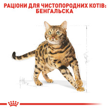 Корм для дорослих котів породи Бенгальська ROYAL CANIN BENGAL ADULT 2 кг
