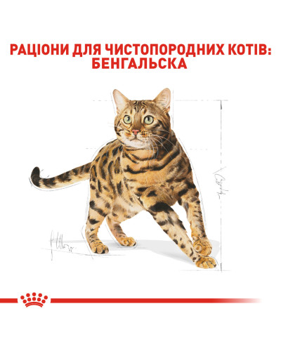 Корм для дорослих котів породи Бенгальська ROYAL CANIN BENGAL ADULT 2 кг
