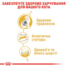 Корм для взрослых кошек породы Бенгальский ROYAL CANIN BENGAL ADULT 2 кг