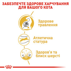 Корм для дорослих котів породи Бенгальська ROYAL CANIN BENGAL ADULT 2 кг