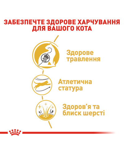 Корм для дорослих котів породи Бенгальська ROYAL CANIN BENGAL ADULT 2 кг