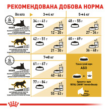 Корм для взрослых кошек породы Бенгальский ROYAL CANIN BENGAL ADULT 2 кг