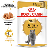 Вологий корм для дорослих котів ROYAL CANIN BRITISH SHORTHAIR ADULT 85 г