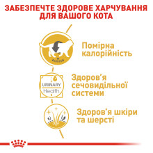 Вологий корм для дорослих котів ROYAL CANIN BRITISH SHORTHAIR ADULT 85 г