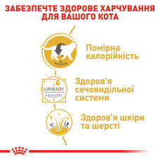 Вологий корм для дорослих котів ROYAL CANIN BRITISH SHORTHAIR ADULT 85 г
