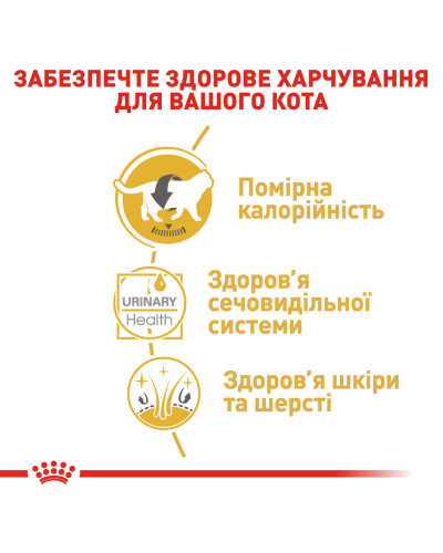 Вологий корм для дорослих котів ROYAL CANIN BRITISH SHORTHAIR ADULT 85 г