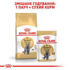Вологий корм для дорослих котів ROYAL CANIN BRITISH SHORTHAIR ADULT 85 г